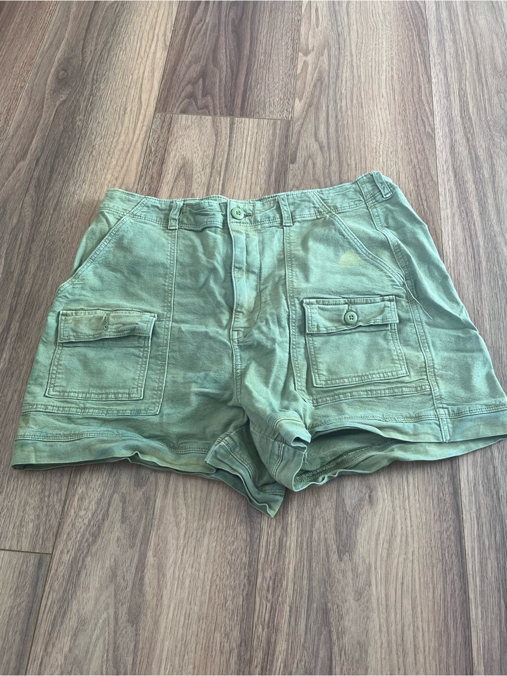 American Eagle Outfitters Sage Green Cargo Shorts